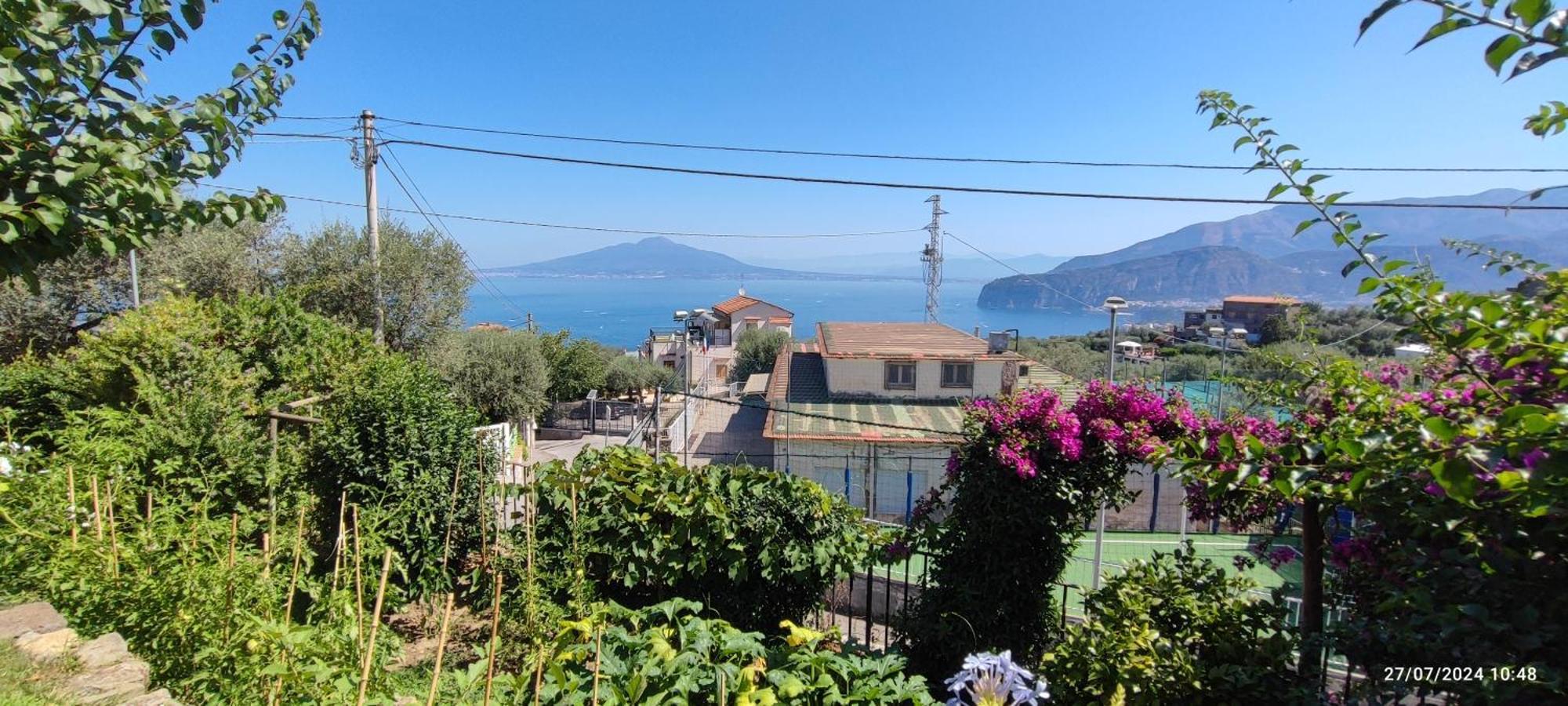Lally'S Garden Bed and Breakfast Sorrento Eksteriør billede