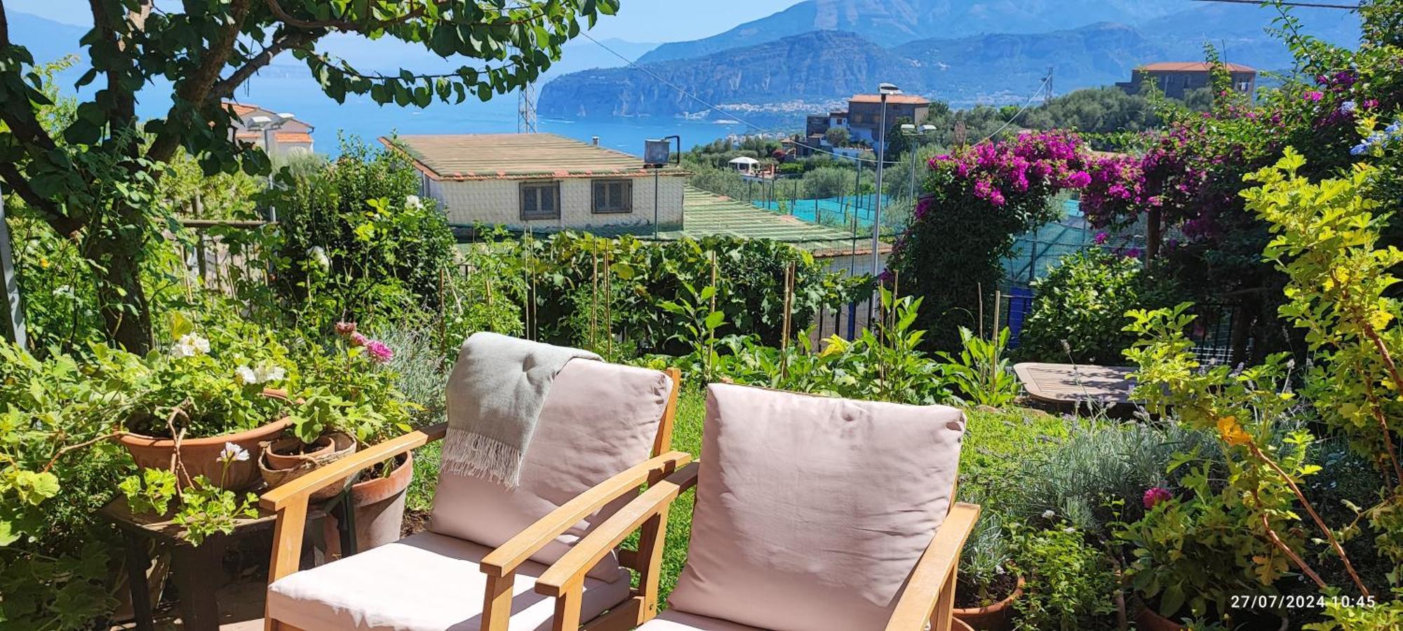 Lally'S Garden Bed and Breakfast Sorrento Eksteriør billede